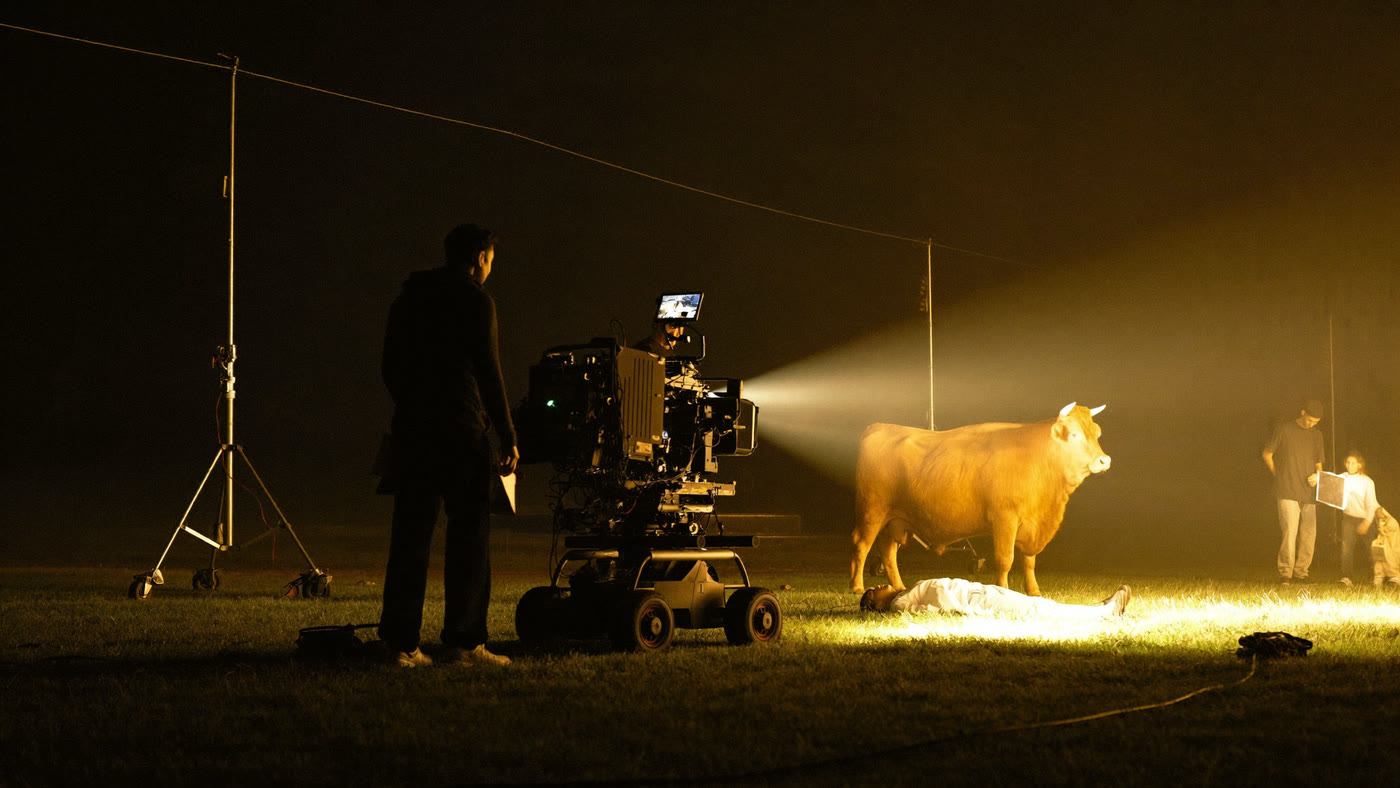 Night shoot on the pasture: a camera crew films the actor lying beside a cow in warm movie light