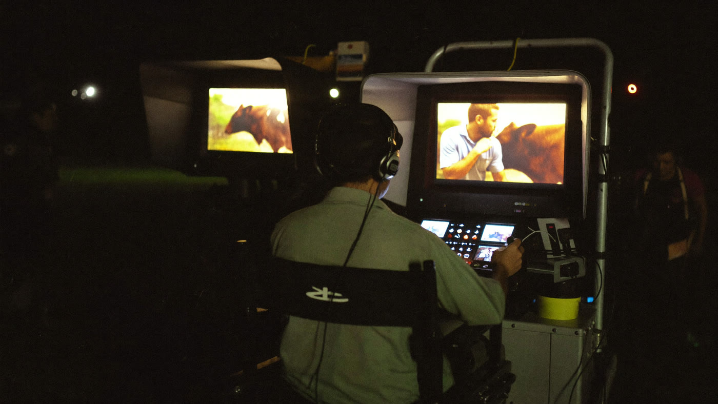 Video village at night: crew watching monitors showing the cow scene