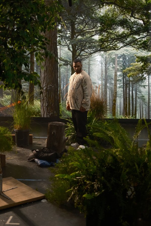 A take on the forest stage
